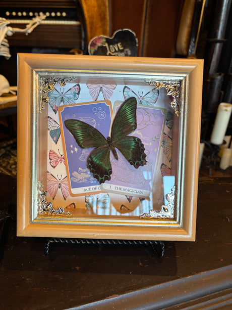 Paint me a pretty world pink Butterfly shadow box