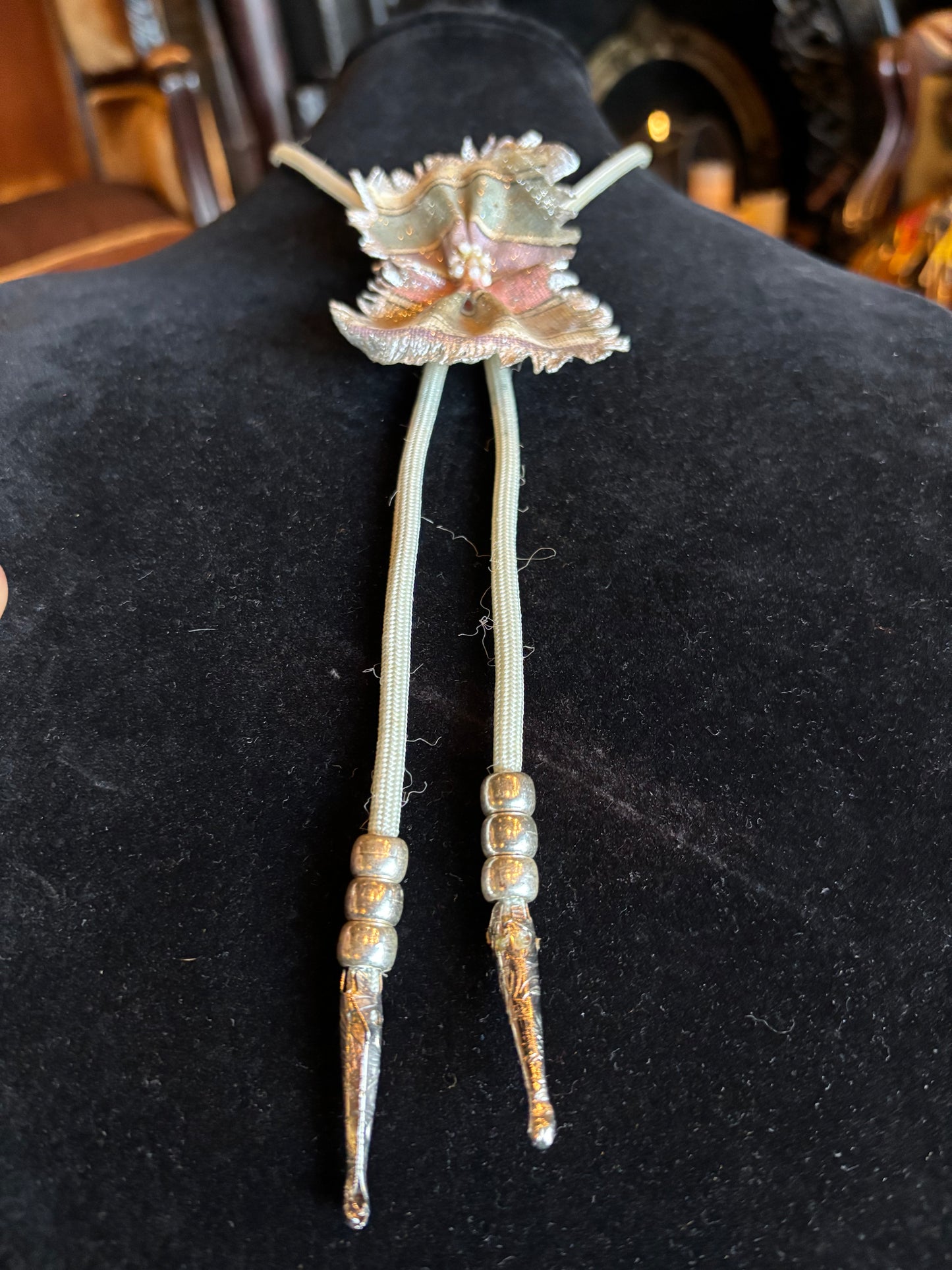 Homemade Bolo