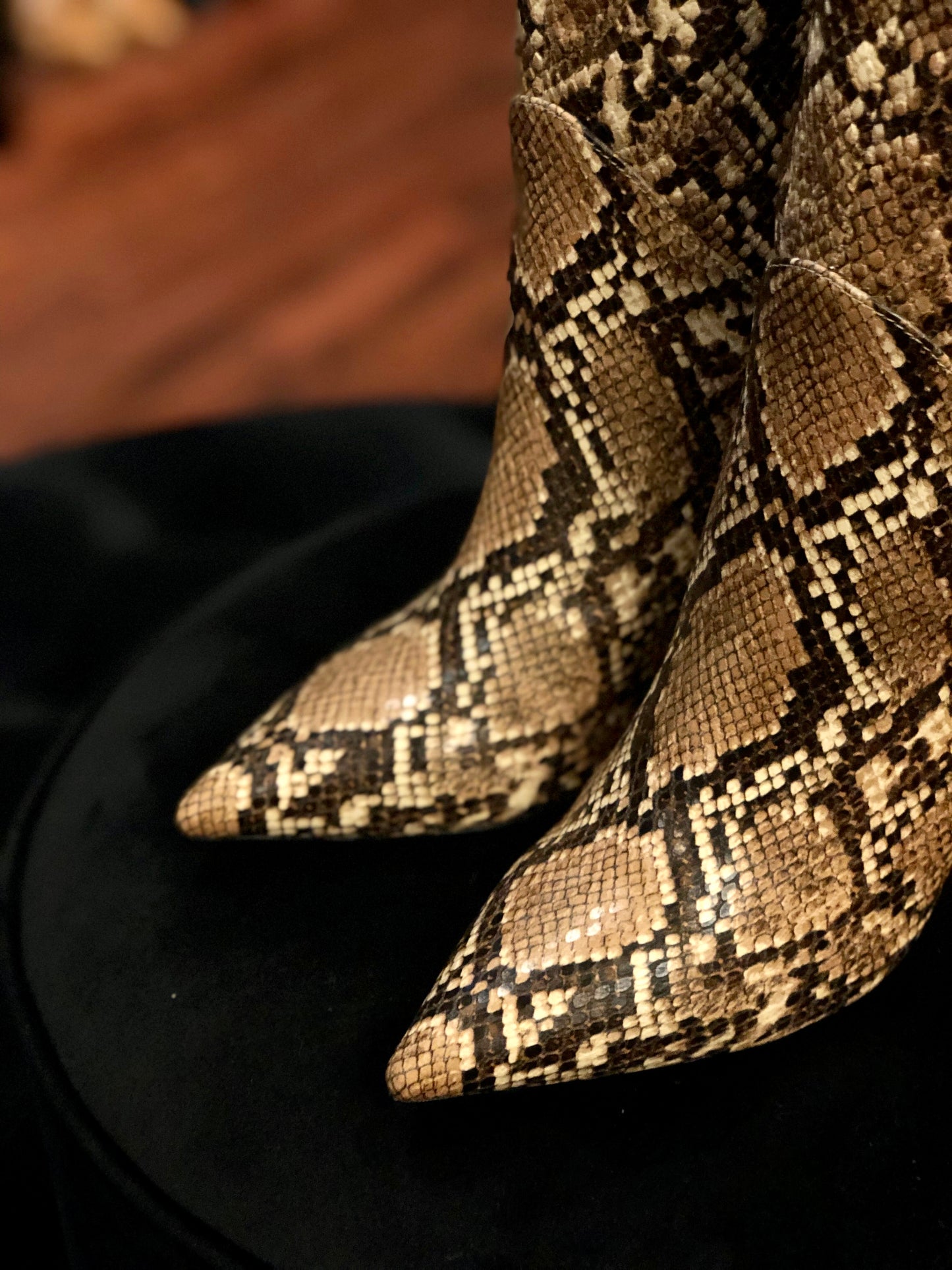 Jeffery Campbell Entity-2 Tall Snakeskin Boots