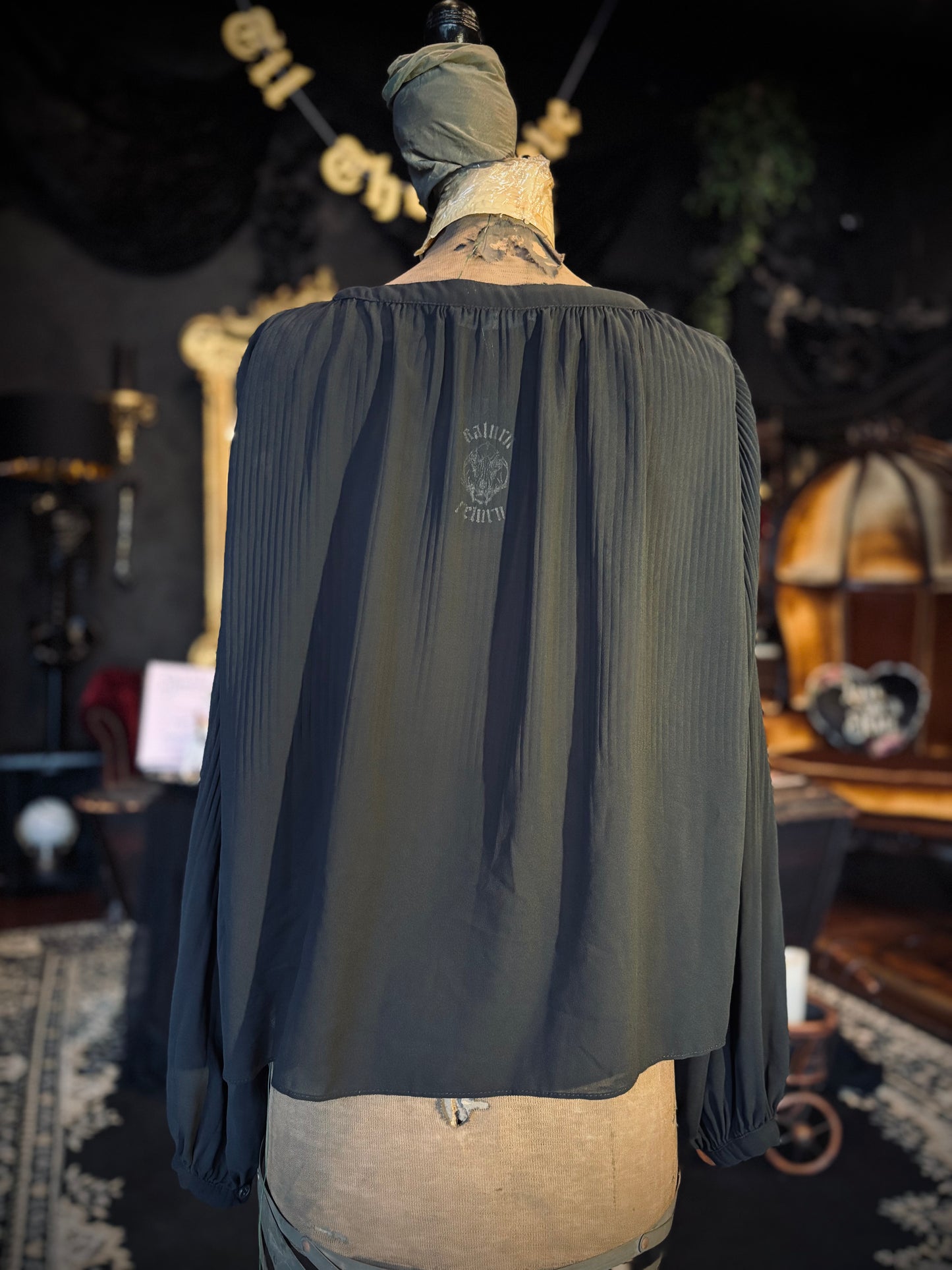 Zara Semi-Sheer blouse