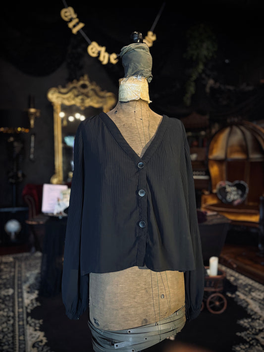 Zara Semi-Sheer blouse