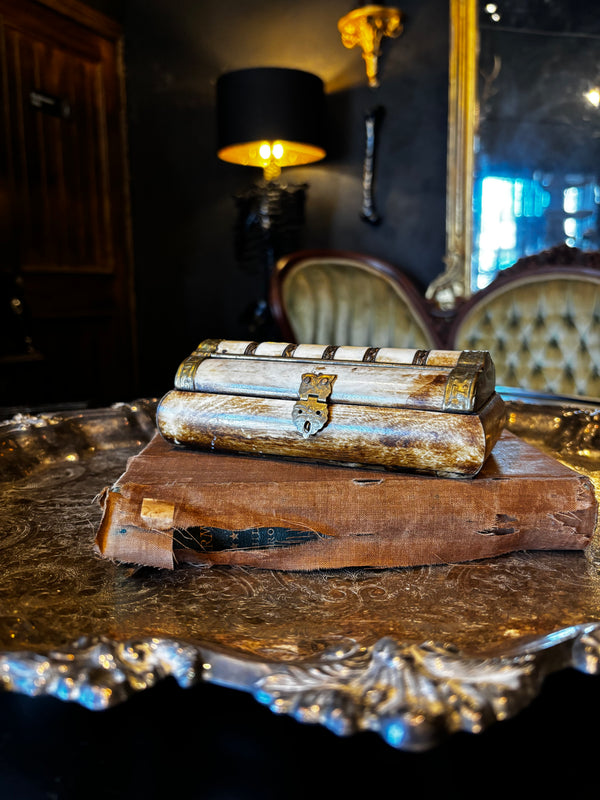 Vintage Antler and Brass Jewelry Trinket Box