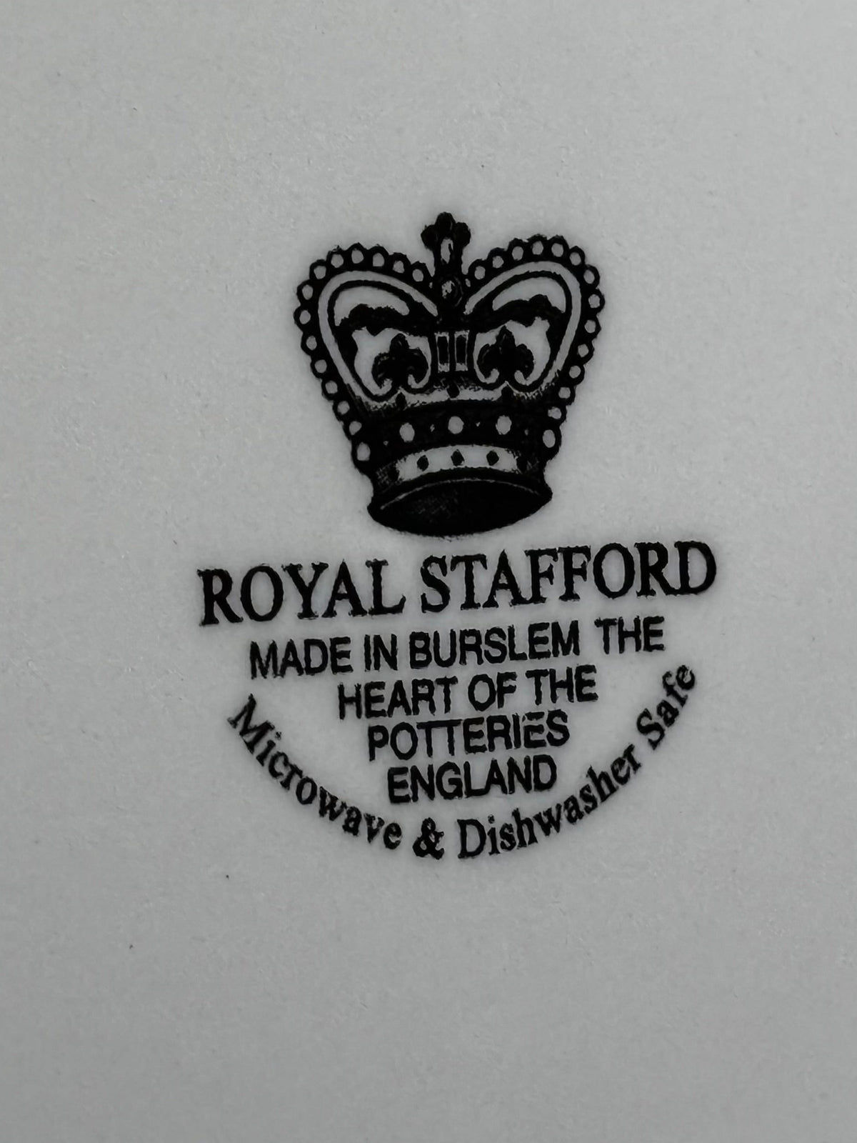 Royal Stafford Large Ceramic Skull Halloween Dinner Plates