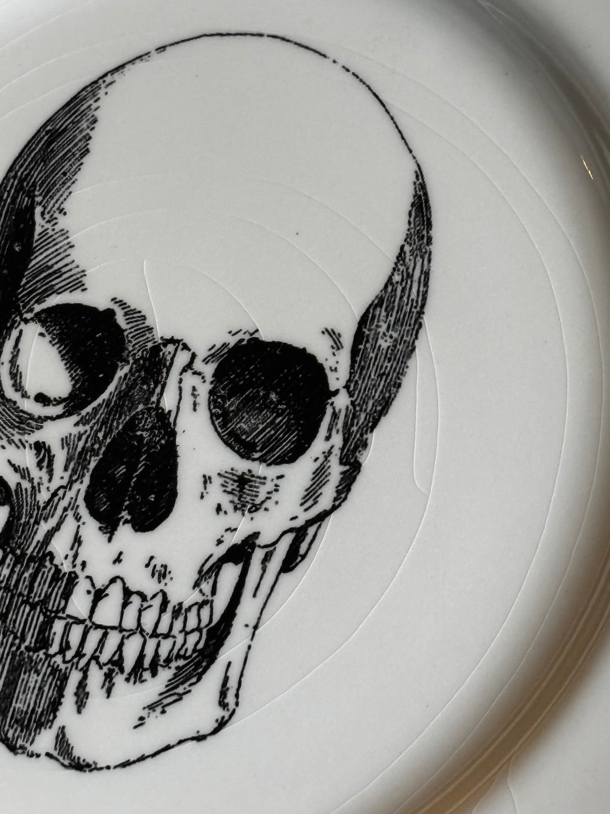 Royal Stafford Large Ceramic Skull Halloween Dinner Plates