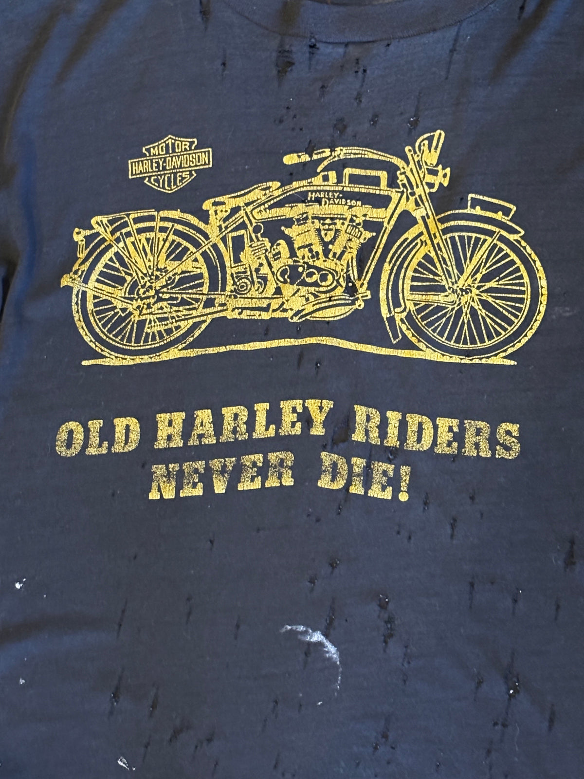 Vintage Harley-Davidson Black Soft Distressed “Riders Never Die” Motorcycle Tee