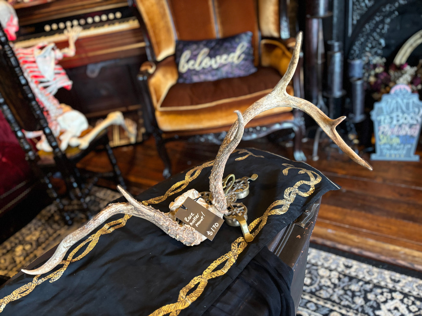 Asymmetrical Antler Mount