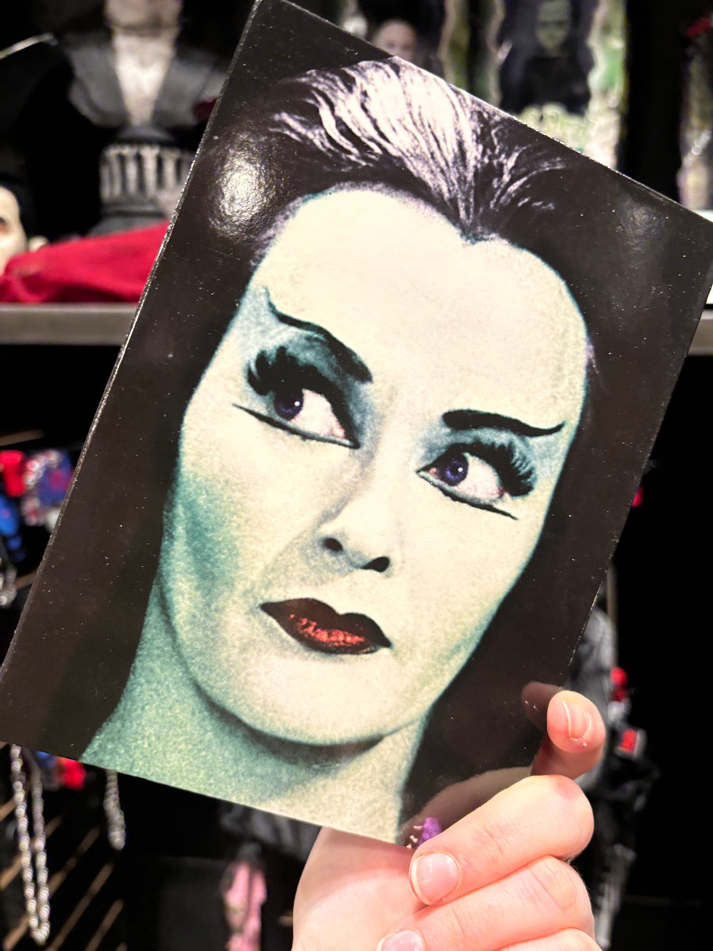 The Munsters complete series DVD set