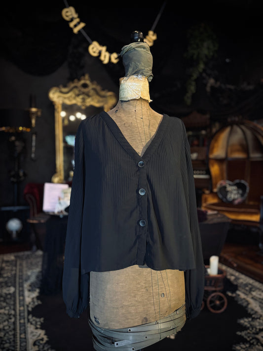 Zara Semi-Sheer blouse