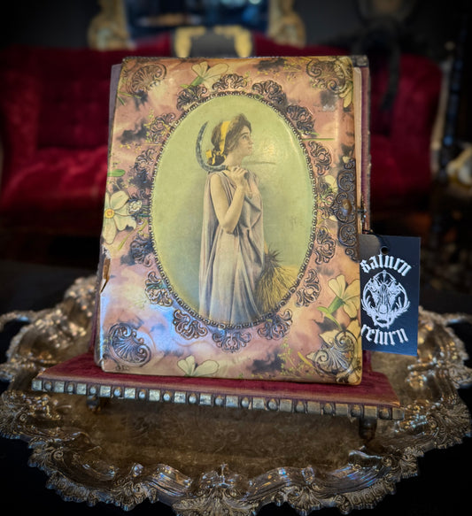 Antique Goddess Demeter Decorative Floral Blank Photo Album