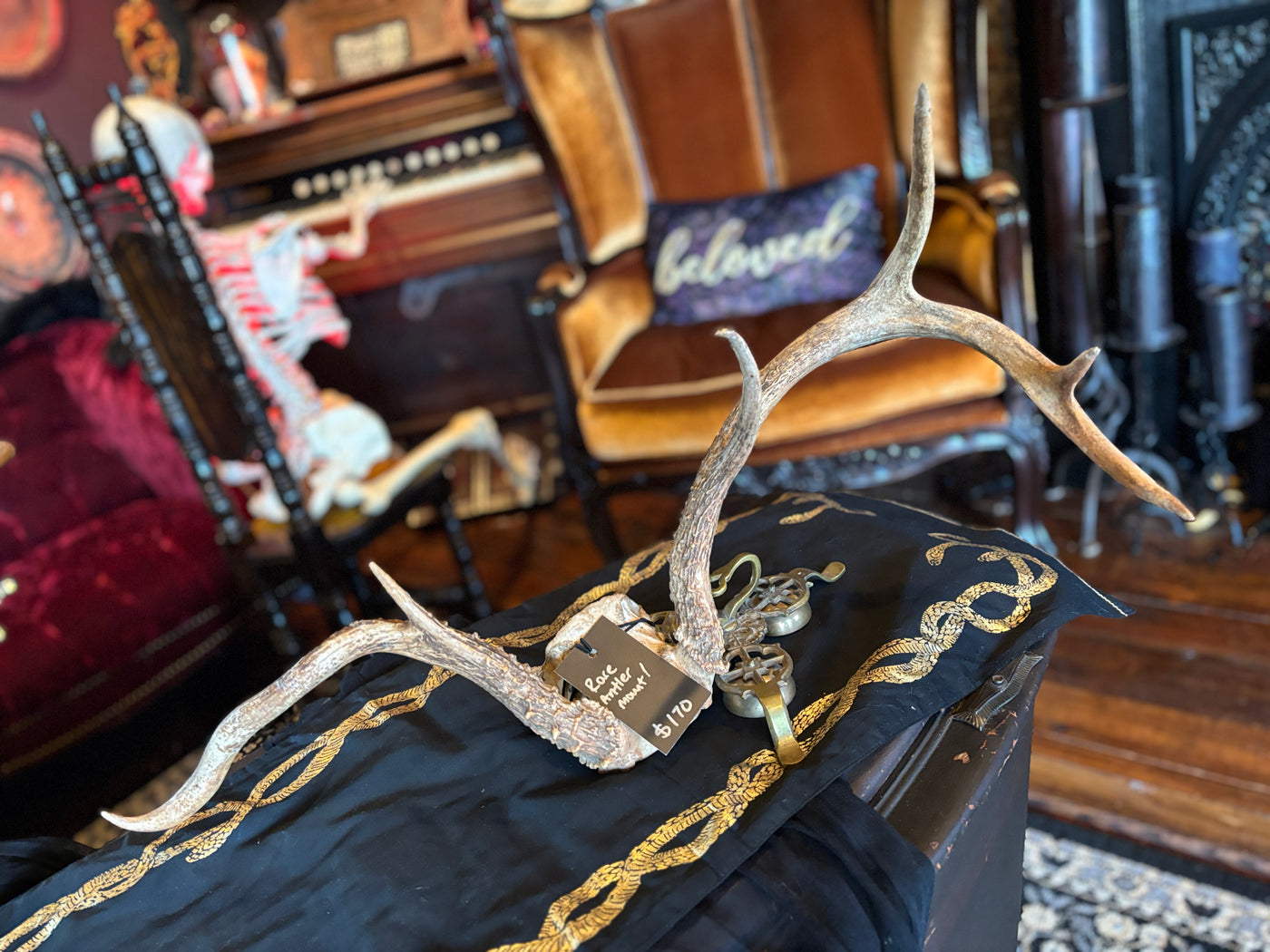 Asymmetrical Antler Mount