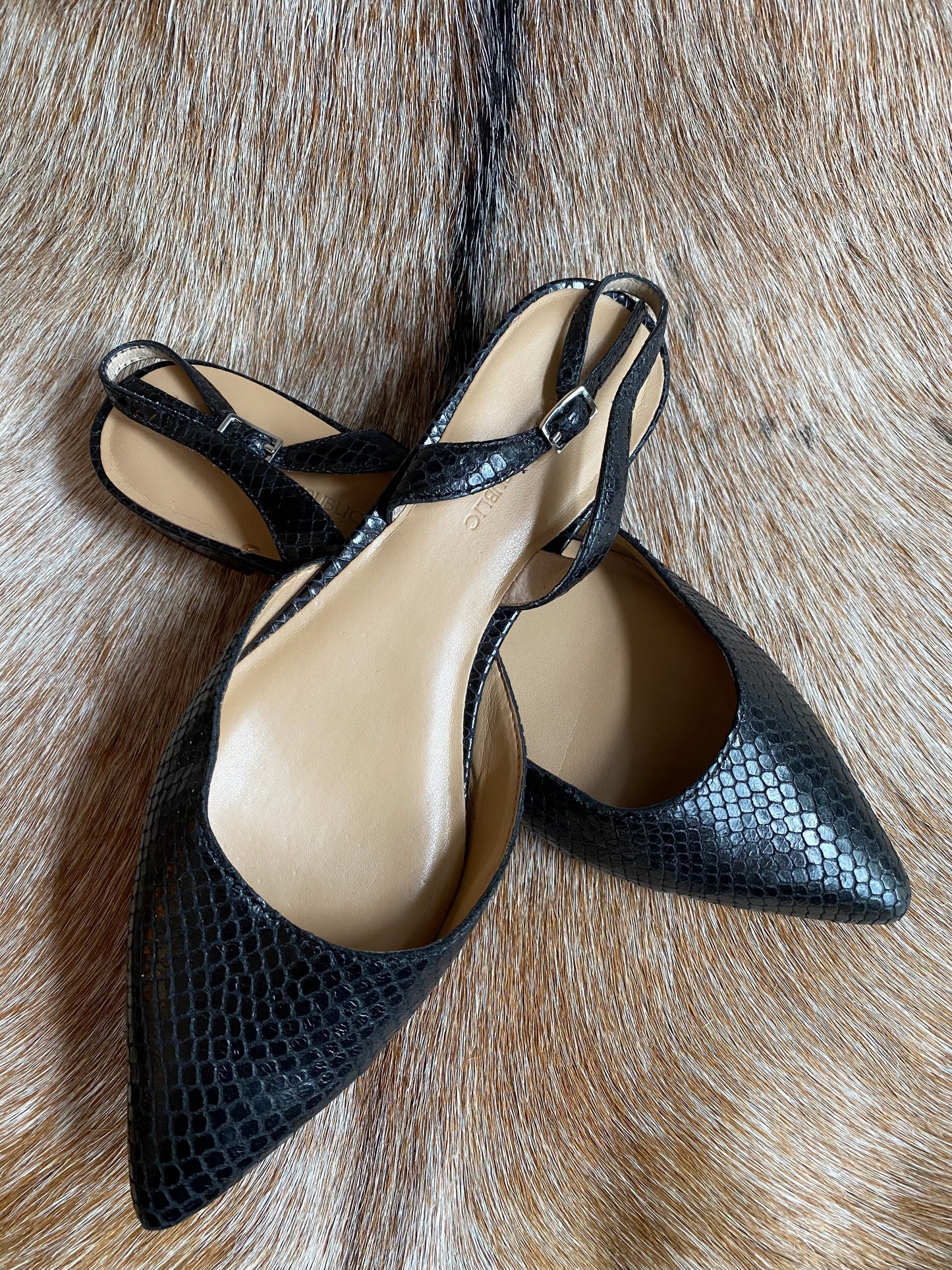 Black Faux Snakeskin Pointed Toe Flats