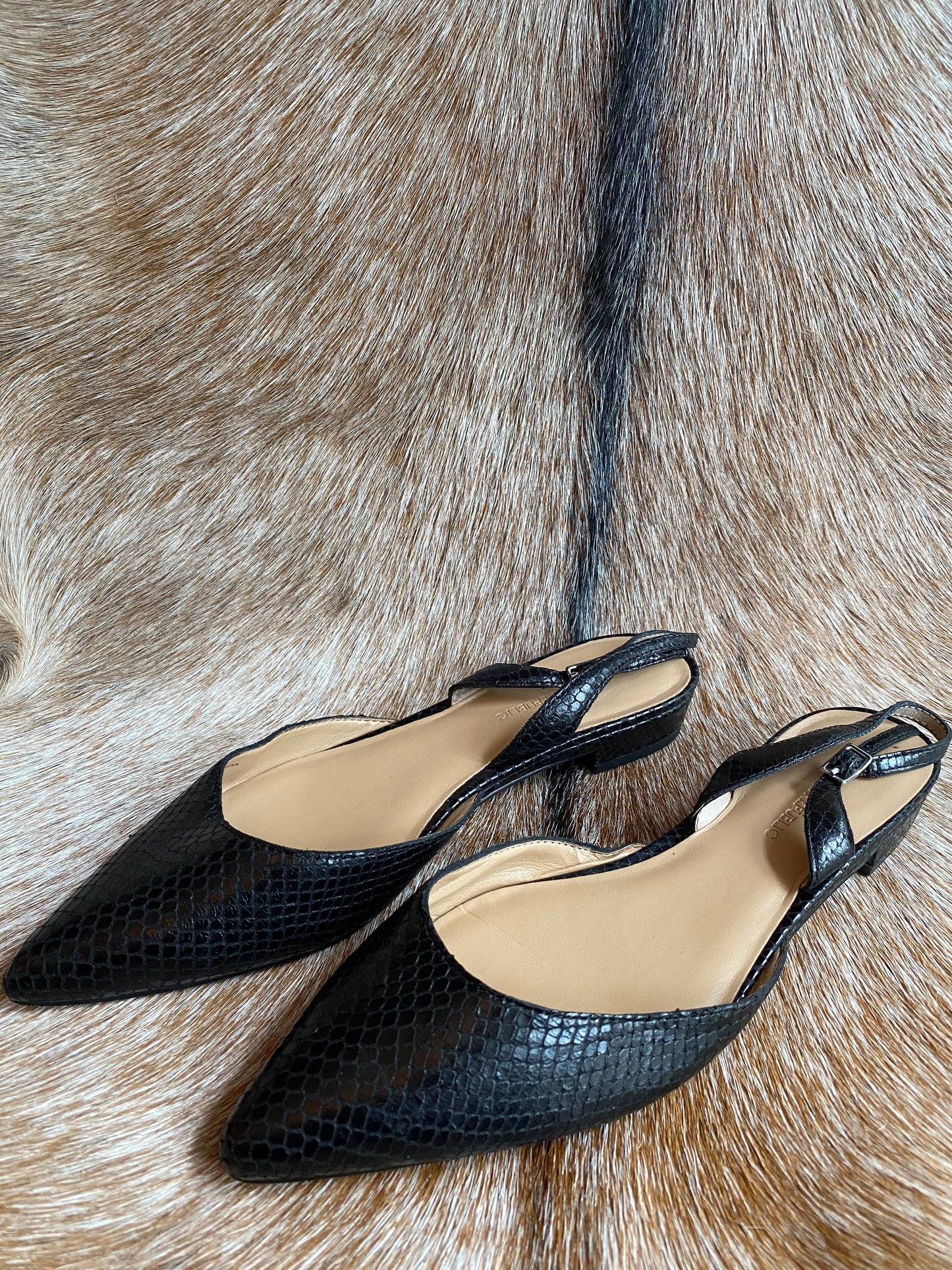 Black Faux Snakeskin Pointed Toe Flats
