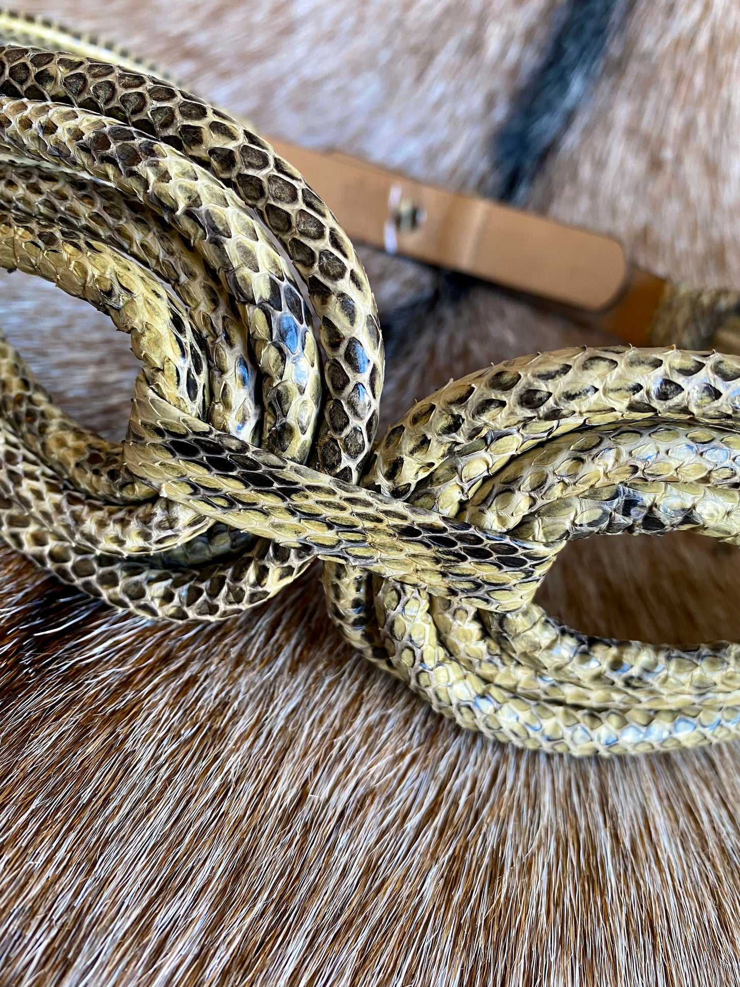 Genuine Snakeskin Elie Tahari Waist Belt