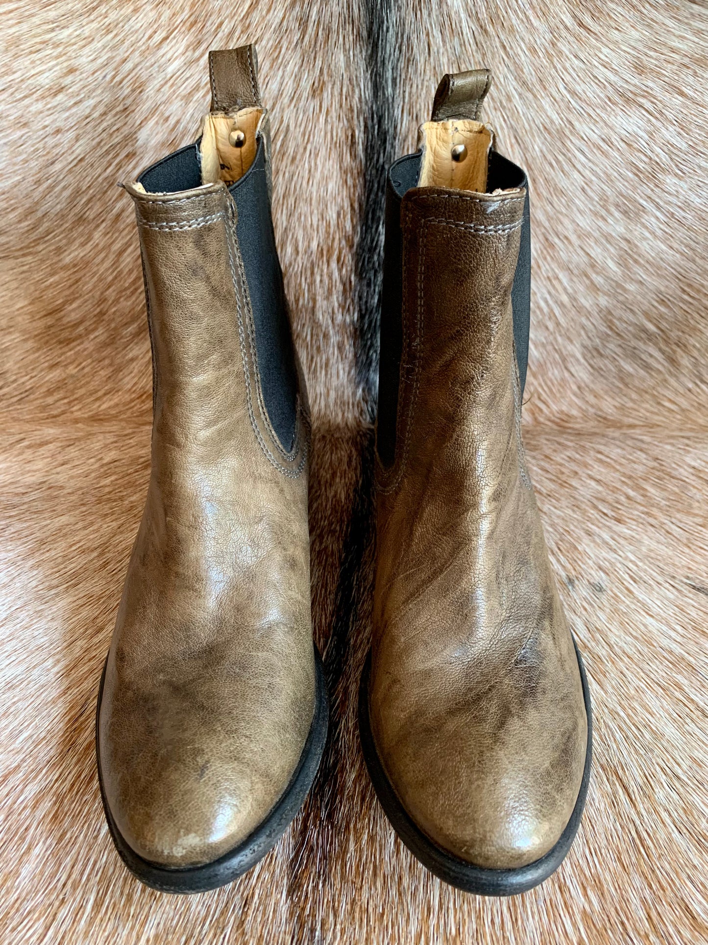 Frye Brown Leather Ankle Chelsea Boots