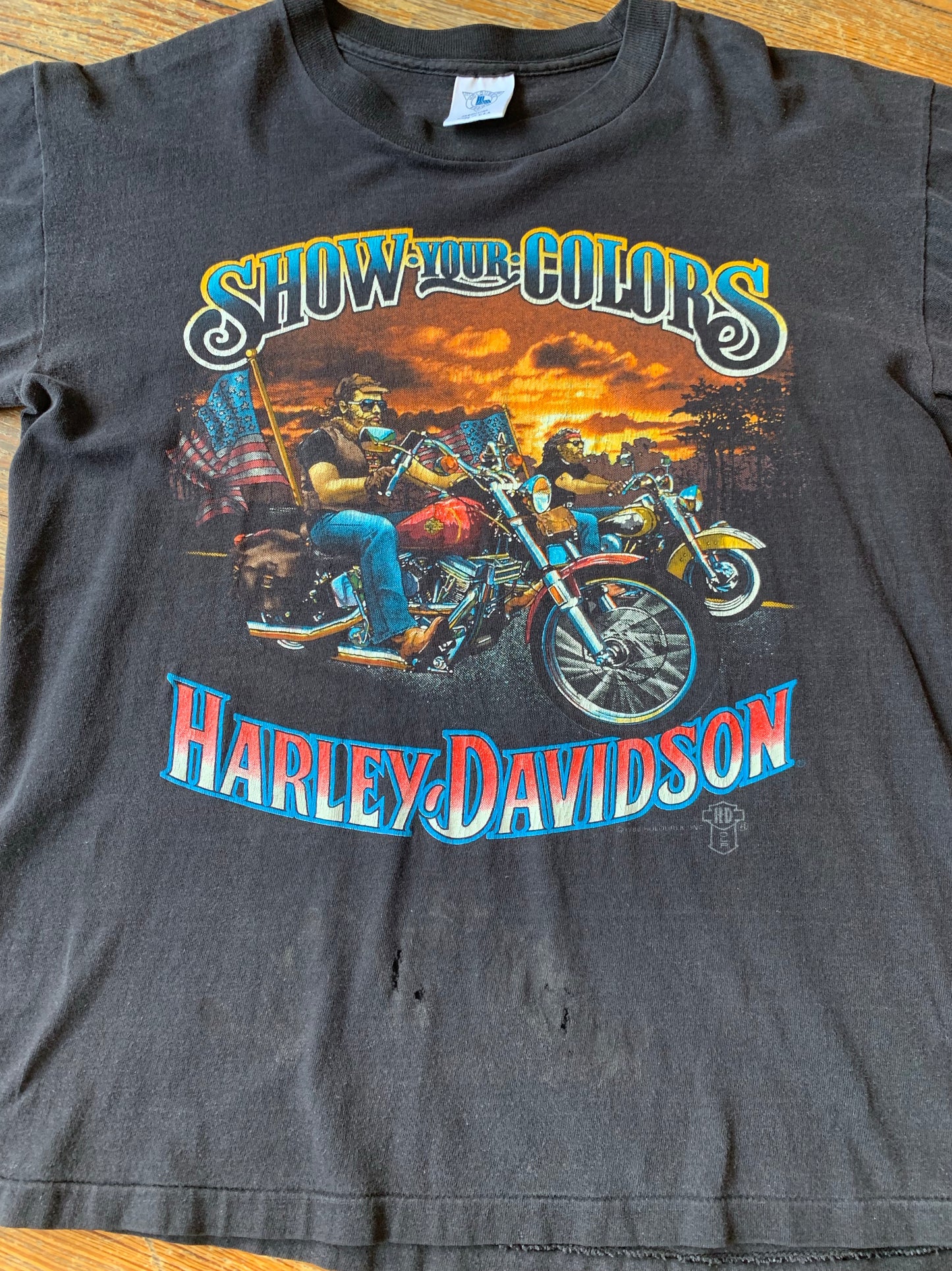 Vintage Harley-Davidson Show Your Colors Tee